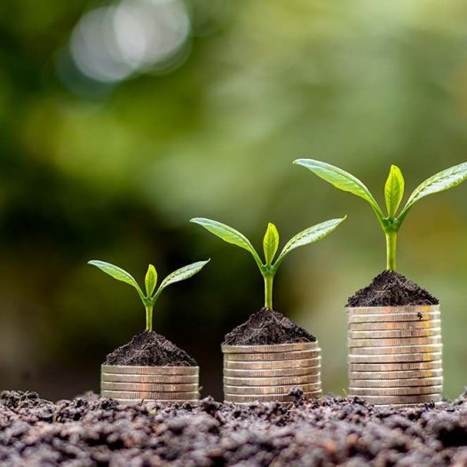 Agricultural Economics