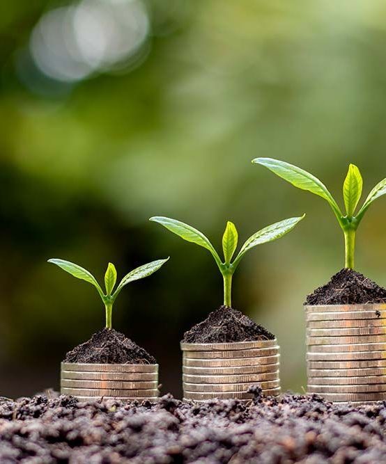 Agricultural Economics