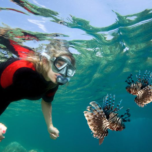 Marine Biology 