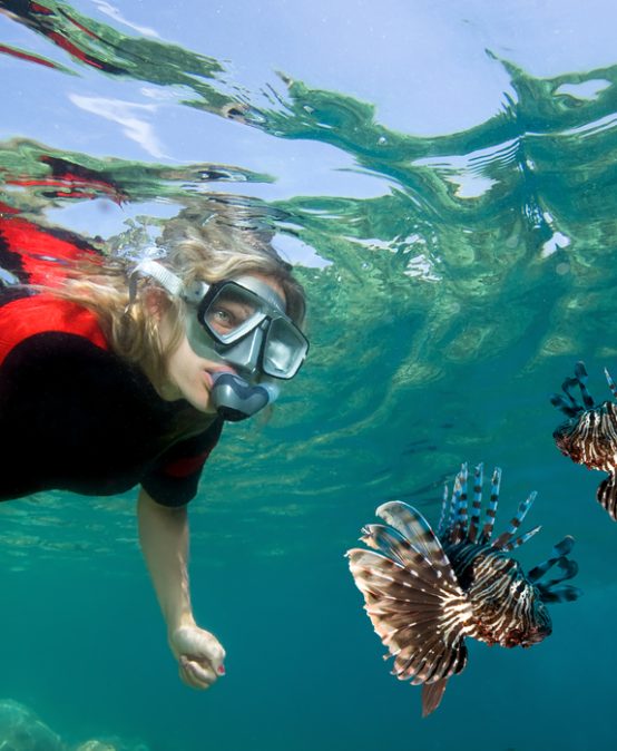 Marine Biology 