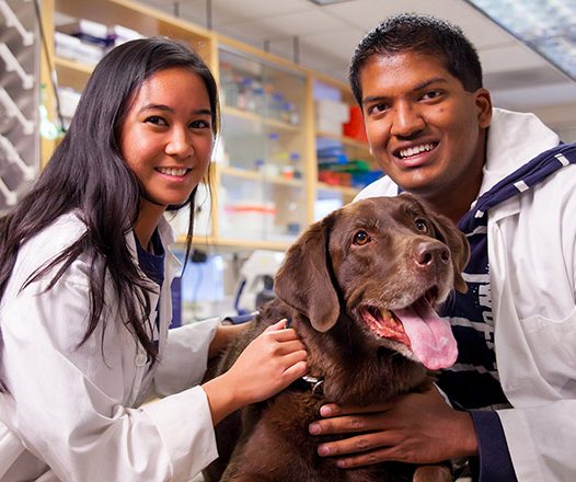 Veterinary Science 