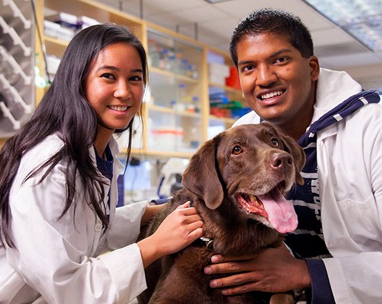 Veterinary Science 